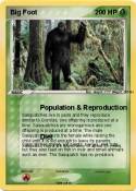 Big Foot