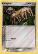 PUGapiller