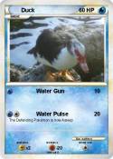 Duck