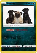 DarkPug