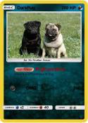DarkPug