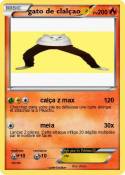 gato de