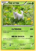 THE KITTEN