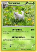 THE KITTEN