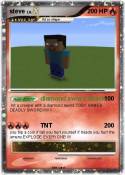 steve