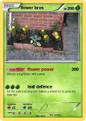 flower bros