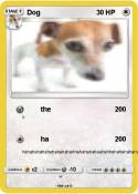 Dog