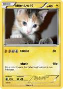 kitten Lv: 10