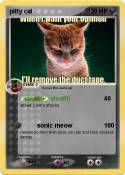 pitty cat