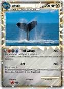 whale