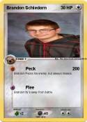 Brandon Schledo