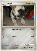 bandit