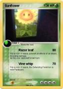 Sunflower
