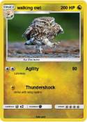walking owl