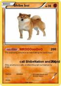 Shibe boi