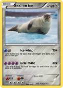 Seal on ice