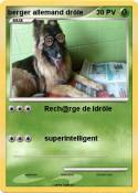 berger allemand