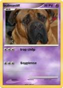 bullmastiff