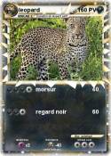 leopard