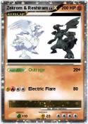 Zekrom &