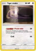 Tiger snake
