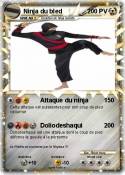 Ninja du bled