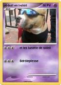 pit-bull en