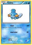 mudkip