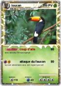 toucan