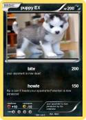 puppy EX