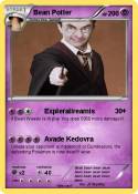 Bean Potter