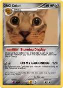 OMG Cat