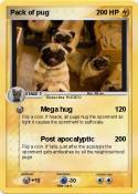 Pack of pug