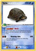 Turtle