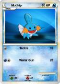 Mudkip