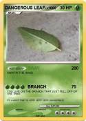 DANGEROUS LEAF