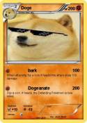 Doge