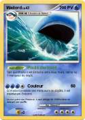 Wailord
