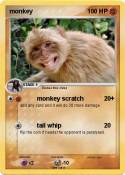 monkey