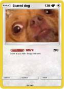 Scared dog