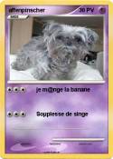 affenpinscher