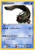 octholacanthe 1