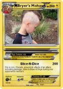 Bryer's Mohawk