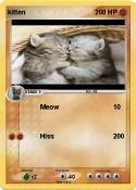 kitten