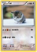 cat