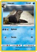 Otterain
