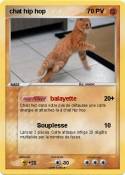 chat hip hop