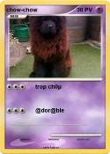 chow-chow