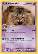 A TALKING CAT!?