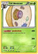 Cell Membrane